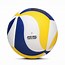 Image result for Original Volleyball Ball