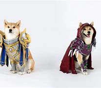 Image result for Diablo WoW Pet