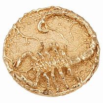 Image result for A Large Scorpion Medallion