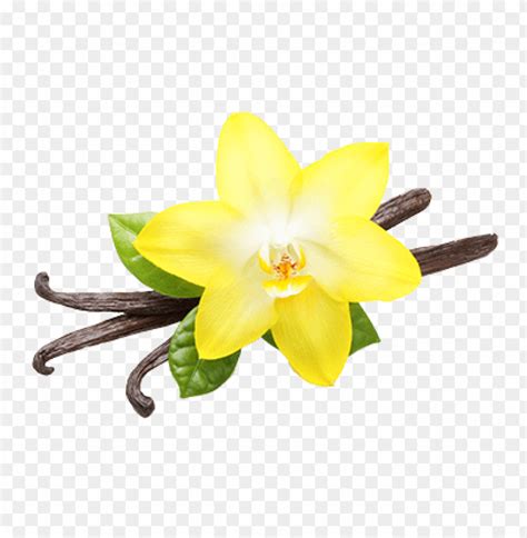 Image result for How to Use Type of in JavaScript