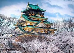 Image result for Osaka Castle Walls