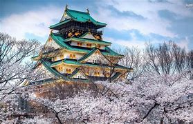 Image result for Japanese Castle Osaka