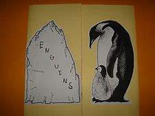 Image result for Mammals Lapbook