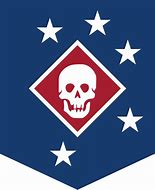 Image result for Pirate Red-Flag Marine Raiders