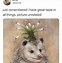 Image result for Funny Opossum iPod Cases