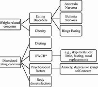 Image result for Overweight vs Obese