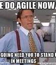 Image result for Funny Agile Memes