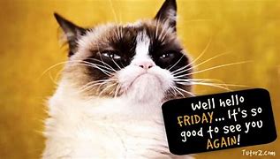 Image result for Happy Friday Grumpy Cat Meme