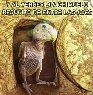 Image result for Chimuelo Meme