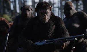 Image result for Planet of the Apes Meme No Statue