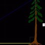 Image result for Measure Tree Height