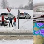 Image result for 1000 Inches of Snow
