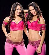 Image result for WWE Brie Bella Body