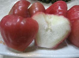 Image result for What Is a Love Apple