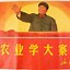 Image result for Chairman Mao Poster