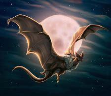 Image result for Realistic Bat Dragon Sketches
