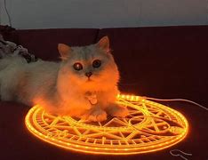 Image result for Saruman Magically Summoning Meme