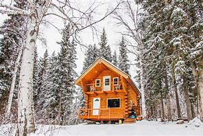 Image result for Wooden Cabin in Alaska