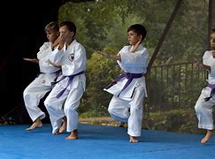 Image result for Karate People