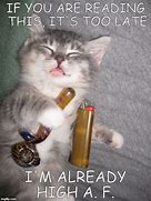 Image result for Weed Eyes Cat Meme