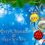 Image result for 4X6 Photo Insert Christmas Card