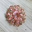 Image result for Rosa PINK PINS