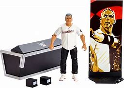 Image result for WWE Action Figures Cell