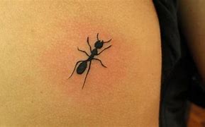 Image result for Ant Trail Tattoo