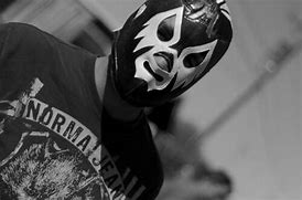 Image result for Luchador Costume