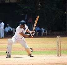 Image result for Cricket