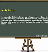 Image result for ambulacro