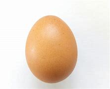 Image result for huevo