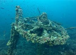 Image result for Reef From a Sunken Ship