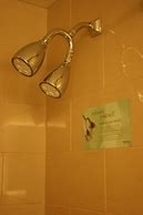 Image result for Double Shower Head