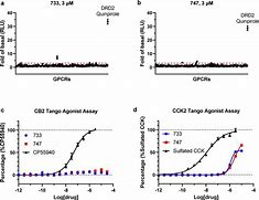 Image result for Off Target Selectivity
