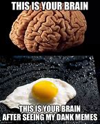 Image result for Fried Brain Meme