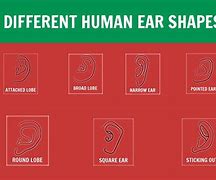 Image result for Shapes of Ear Buds