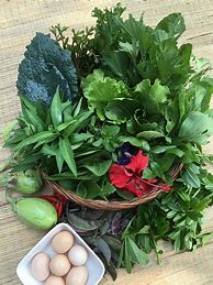 Image result for Local Food in Season