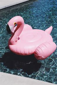 Image result for Pink Flamingo Pool Float