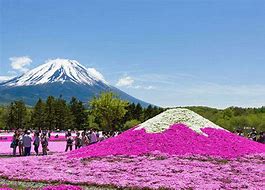 Image result for What to Do at Mt. Fuji Japan