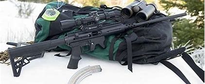 Image result for TakeDown Survival Rifle