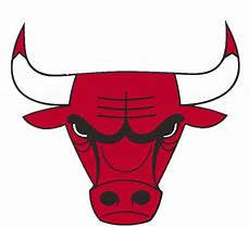 Image result for Custom Bulls Logo