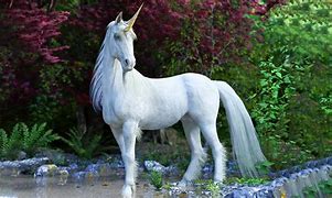 Image result for Real Uicorn