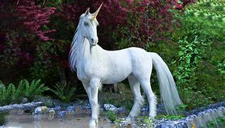 Image result for The Real Unicorn