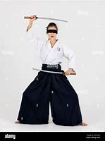 Image result for Samurai Aikido