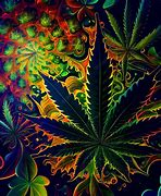 Image result for Marijuana Background Images