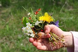 Image result for Wildflower Bouquet Drawing