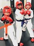 Image result for Martial Arts Sparring Tree