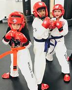 Image result for Boys Martial Arts Sparring