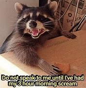 Image result for Roof Raccoon Meme